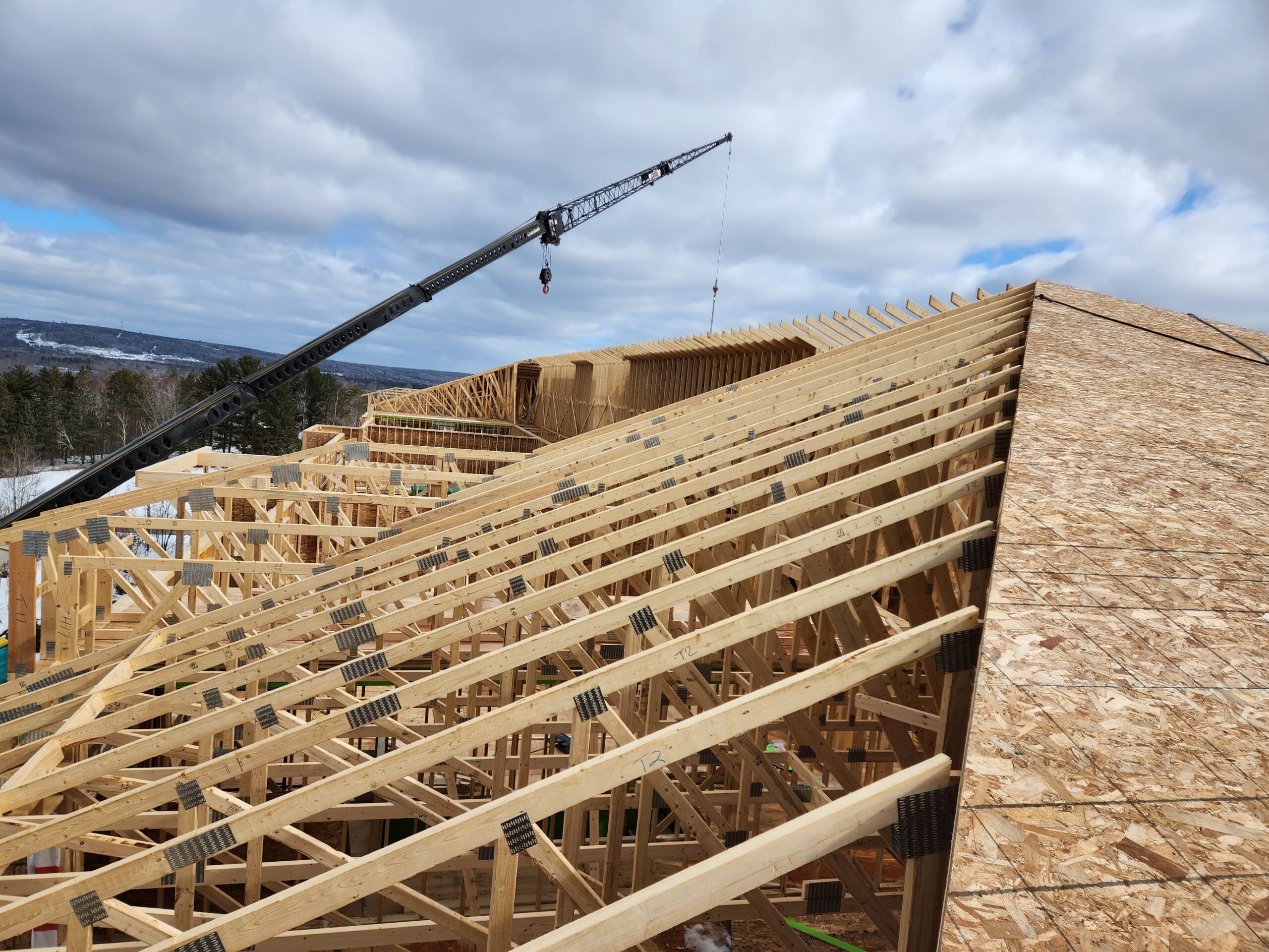 wood framing services