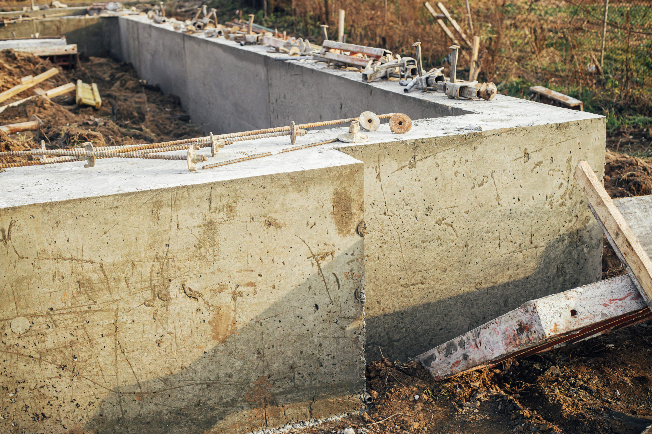 foundation